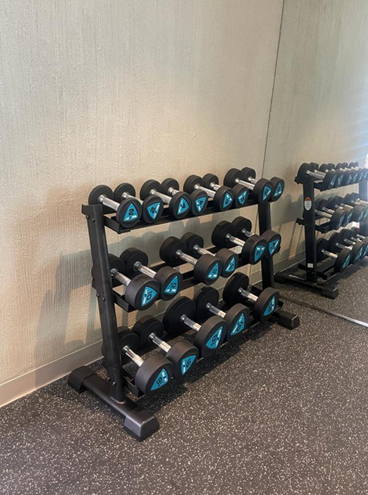 urethane dumbbells 